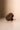 Scalp Massage Brush – detail van de massagepunten of structuur